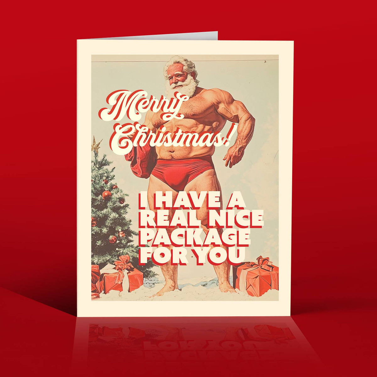 NICE PACKAGE! christmas card