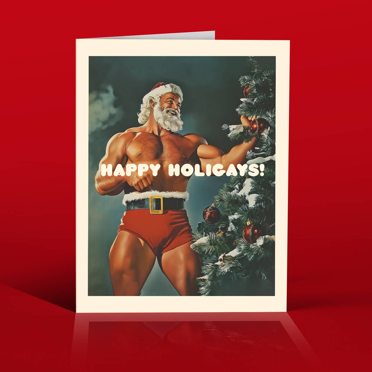 HOLIGAYS! gay, funny christmas card
